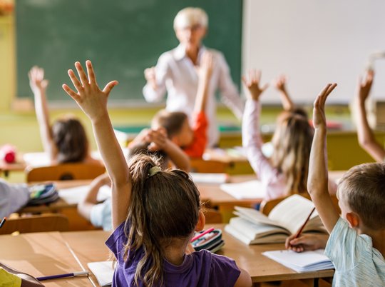 Ein Klassenraum mit vielen Schülerinnen und Schülern, die sich melden, sie sind von hinten zu sehen, vorne steht eine Lehrkraft.