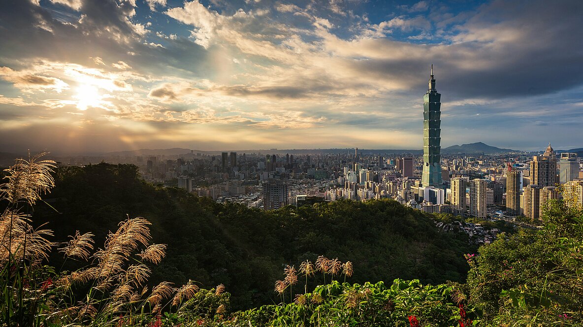 Ein Blick auf die Skyline von Teipeh-City, die Hauptstadt Taiwans. Im Vordergrund Bäume und Büsche.