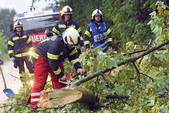 Feuerwehrleute räumen einen Baum von einer Straße